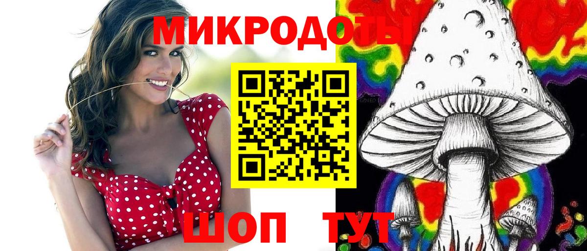 Галлюциногенные грибы Magic Shrooms  Вход с VPN  Дербент  Псилоцибиновые грибы Psilocybe 